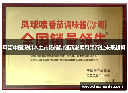 鹰哥中国深耕本土市场推动创新发展引领行业未来趋势
