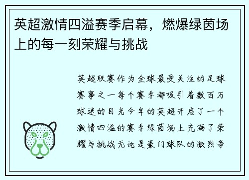 英超激情四溢赛季启幕，燃爆绿茵场上的每一刻荣耀与挑战